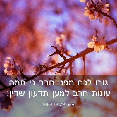 Picture 03 - איוב 19:29 HEB - גורו לכם מפני חרב כי חמה - Bible Verse Picture