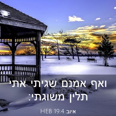 Picture 03 - איוב 19:4 HEB - ואף אמנם שגיתי אתי תלין - Bible Verse Picture