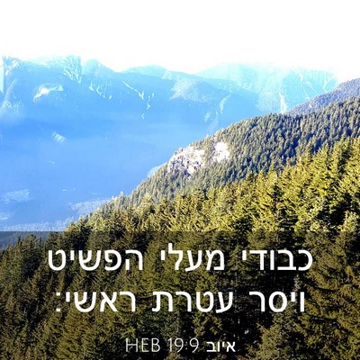 Picture 03 - איוב 19:9 HEB - כבודי מעלי הפשיט ויסר עטרת - Bible Verse Picture
