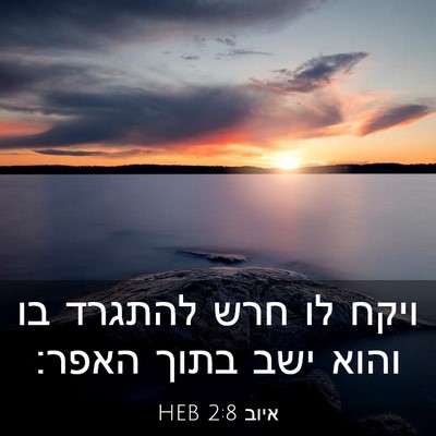 Picture 03 - איוב 2:8 HEB - ויקח לו חרש להתגרד בו והוא - Bible Verse Picture