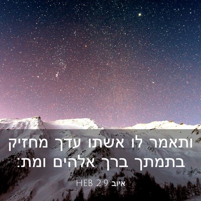 Picture 03 - איוב 2:9 HEB - ותאמר לו אשתו עדך מחזיק - Bible Verse Picture