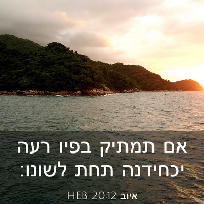 Picture 03 - איוב 20:12 HEB - אם תמתיק בפיו רעה יכחידנה - Bible Verse Picture