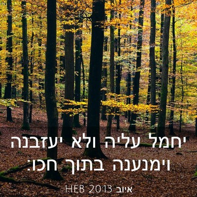 Picture 03 - איוב 20:13 HEB - יחמל עליה ולא יעזבנה - Bible Verse Picture