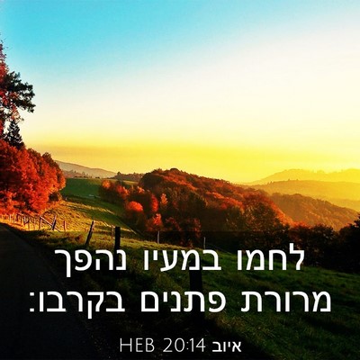 Picture 03 - איוב 20:14 HEB - לחמו במעיו נהפך מרורת - Bible Verse Picture