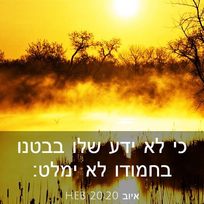 Picture 03 - איוב 20:20 HEB - כי לא ידע שלו בבטנו בחמודו - Bible Verse Picture