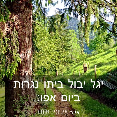 Picture 03 - איוב 20:28 HEB - יגל יבול ביתו נגרות ביום - Bible Verse Picture