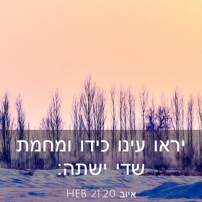 Picture 03 - איוב 21:20 HEB - יראו עינו כידו ומחמת שדי - Bible Verse Picture