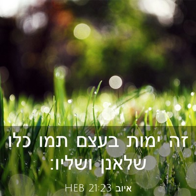 Picture 03 - איוב 21:23 HEB - זה ימות בעצם תמו כלו שלאנן - Bible Verse Picture
