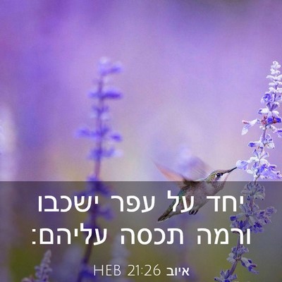 Picture 03 - איוב 21:26 HEB - יחד על עפר ישכבו ורמה תכסה - Bible Verse Picture