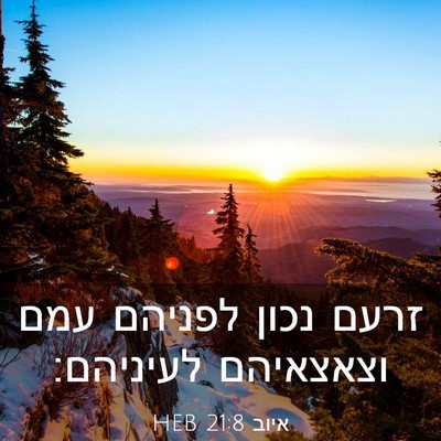 Picture 03 - איוב 21:8 HEB - זרעם נכון לפניהם עמם - Bible Verse Picture