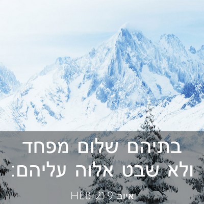 Picture 03 - איוב 21:9 HEB - בתיהם שלום מפחד ולא שבט - Bible Verse Picture