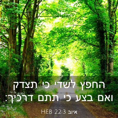 Picture 03 - איוב 22:3 HEB - החפץ לשדי כי תצדק ואם בצע - Bible Verse Picture