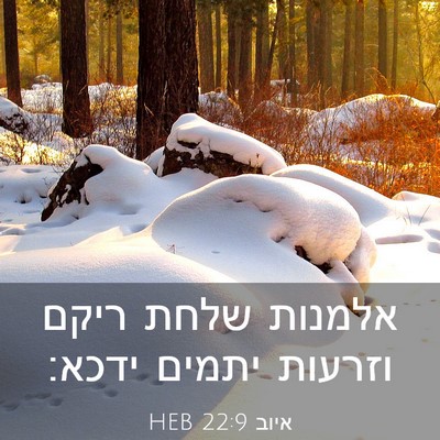 Picture 03 - איוב 22:9 HEB - אלמנות שלחת ריקם וזרעות - Bible Verse Picture