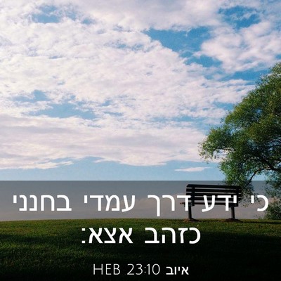 Picture 03 - איוב 23:10 HEB - כי ידע דרך עמדי בחנני כזהב - Bible Verse Picture