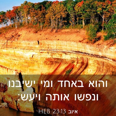 Picture 03 - איוב 23:13 HEB - והוא באחד ומי ישיבנו ונפשו - Bible Verse Picture