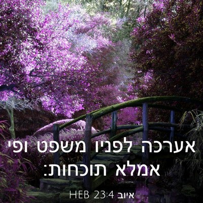 Picture 03 - איוב 23:4 HEB - אערכה לפניו משפט ופי אמלא - Bible Verse Picture