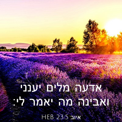 Picture 03 - איוב 23:5 HEB - אדעה מלים יענני ואבינה מה - Bible Verse Picture