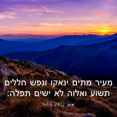 Picture 03 - איוב 24:12 HEB - מעיר מתים ינאקו ונפש חללים - Bible Verse Picture