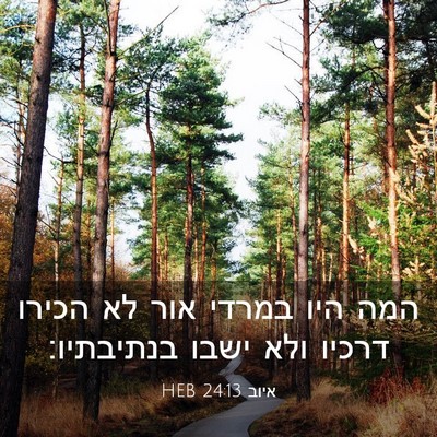 Picture 03 - איוב 24:13 HEB - המה היו במרדי אור לא הכירו - Bible Verse Picture