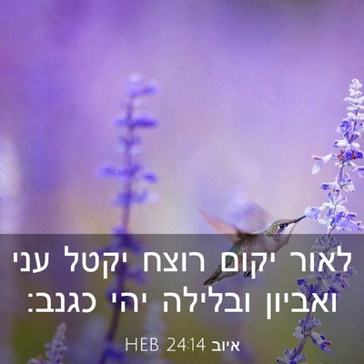 Picture 03 - איוב 24:14 HEB - לאור יקום רוצח יקטל עני - Bible Verse Picture