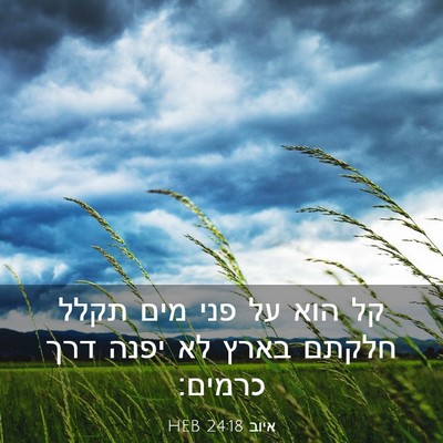 Picture 03 - איוב 24:18 HEB - קל הוא על פני מים תקלל - Bible Verse Picture