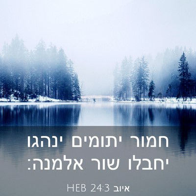 Picture 03 - איוב 24:3 HEB - חמור יתומים ינהגו יחבלו - Bible Verse Picture