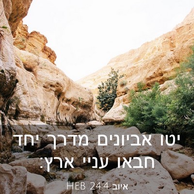 Picture 03 - איוב 24:4 HEB - יטו אביונים מדרך יחד חבאו - Bible Verse Picture