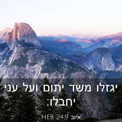 Picture 03 - איוב 24:9 HEB - יגזלו משד יתום ועל עני - Bible Verse Picture