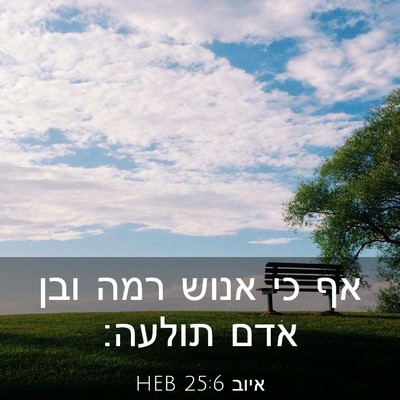 Picture 03 - איוב 25:6 HEB - אף כי אנוש רמה ובן אדם - Bible Verse Picture