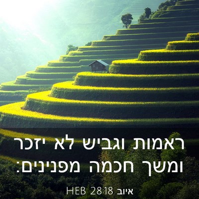 Picture 03 - איוב 28:18 HEB - ראמות וגביש לא יזכר ומשך - Bible Verse Picture