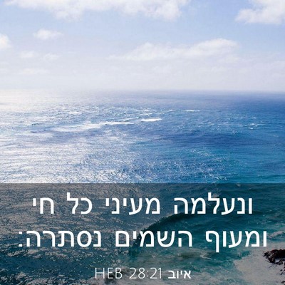 Picture 03 - איוב 28:21 HEB - ונעלמה מעיני כל חי ומעוף - Bible Verse Picture
