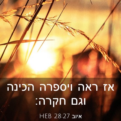 Picture 03 - איוב 28:27 HEB - אז ראה ויספרה הכינה וגם - Bible Verse Picture