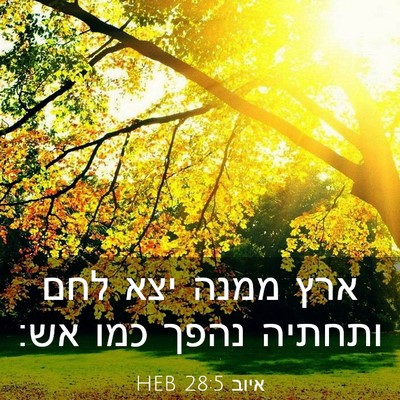 Picture 03 - איוב 28:5 HEB - ארץ ממנה יצא לחם ותחתיה - Bible Verse Picture