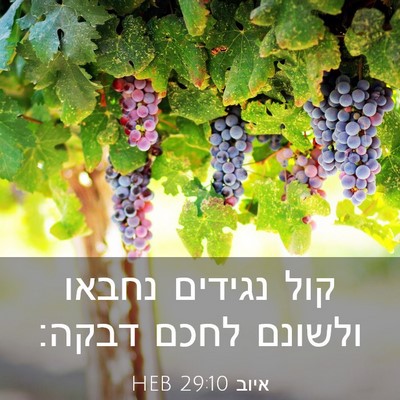 Picture 03 - איוב 29:10 HEB - קול נגידים נחבאו ולשונם - Bible Verse Picture
