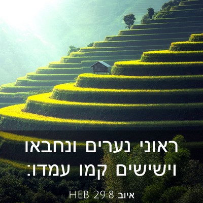Picture 03 - איוב 29:8 HEB - ראוני נערים ונחבאו וישישים - Bible Verse Picture