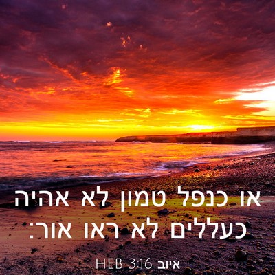 Picture 03 - איוב 3:16 HEB - או כנפל טמון לא אהיה כעללים - Bible Verse Picture