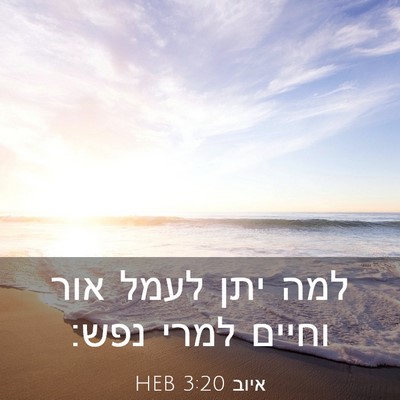 Picture 03 - איוב 3:20 HEB - למה יתן לעמל אור וחיים למרי - Bible Verse Picture