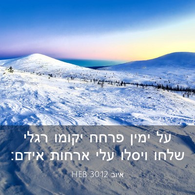 Picture 03 - איוב 30:12 HEB - על ימין פרחח יקומו רגלי - Bible Verse Picture