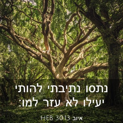 Picture 03 - איוב 30:13 HEB - נתסו נתיבתי להותי יעילו לא - Bible Verse Picture