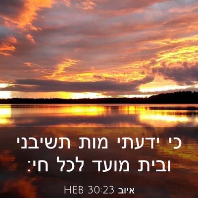 Picture 03 - איוב 30:23 HEB - כי ידעתי מות תשיבני ובית - Bible Verse Picture