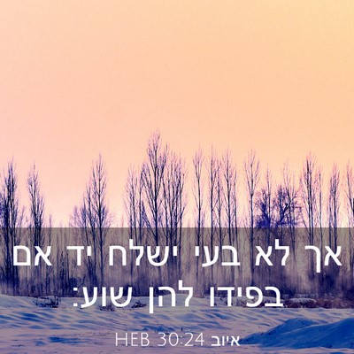 Picture 03 - איוב 30:24 HEB - אך לא בעי ישלח יד אם בפידו - Bible Verse Picture