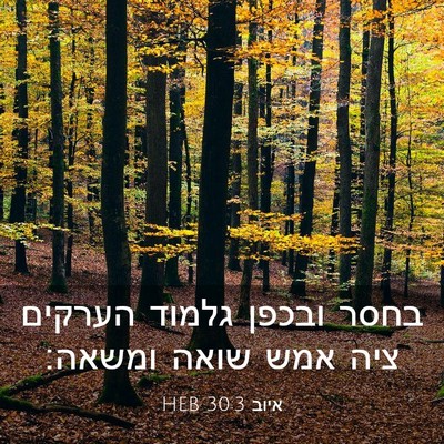 Picture 03 - איוב 30:3 HEB - בחסר ובכפן גלמוד הערקים - Bible Verse Picture