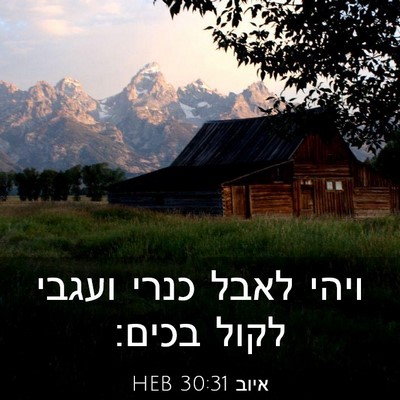 Picture 03 - איוב 30:31 HEB - ויהי לאבל כנרי ועגבי לקול - Bible Verse Picture