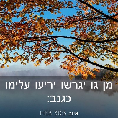 Picture 03 - איוב 30:5 HEB - מן גו יגרשו יריעו עלימו - Bible Verse Picture