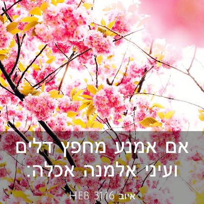 Picture 03 - איוב 31:16 HEB - אם אמנע מחפץ דלים ועיני - Bible Verse Picture