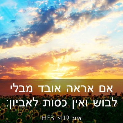 Picture 03 - איוב 31:19 HEB - אם אראה אובד מבלי לבוש ואין - Bible Verse Picture