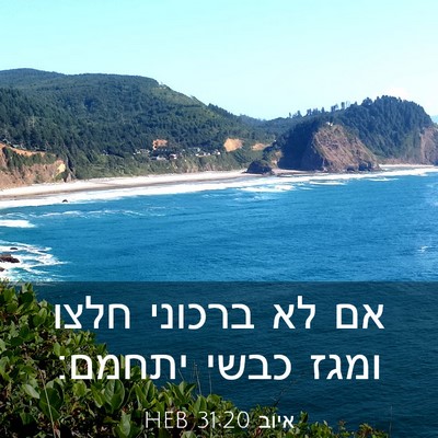 Picture 03 - איוב 31:20 HEB - אם לא ברכוני חלצו ומגז כבשי - Bible Verse Picture