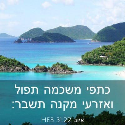 Picture 03 - איוב 31:22 HEB - כתפי משכמה תפול ואזרעי - Bible Verse Picture