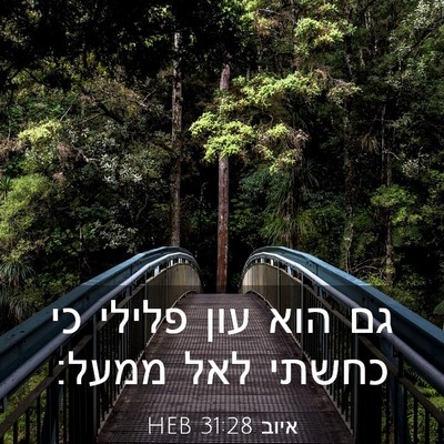 Picture 03 - איוב 31:28 HEB - גם הוא עון פלילי כי כחשתי - Bible Verse Picture