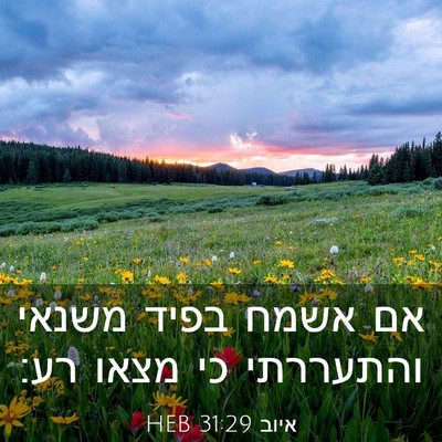 Picture 03 - איוב 31:29 HEB - אם אשמח בפיד משנאי - Bible Verse Picture
